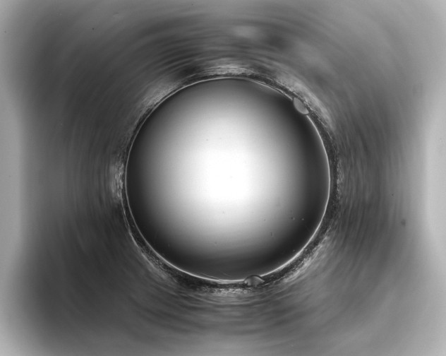 X0000094341233200711021445