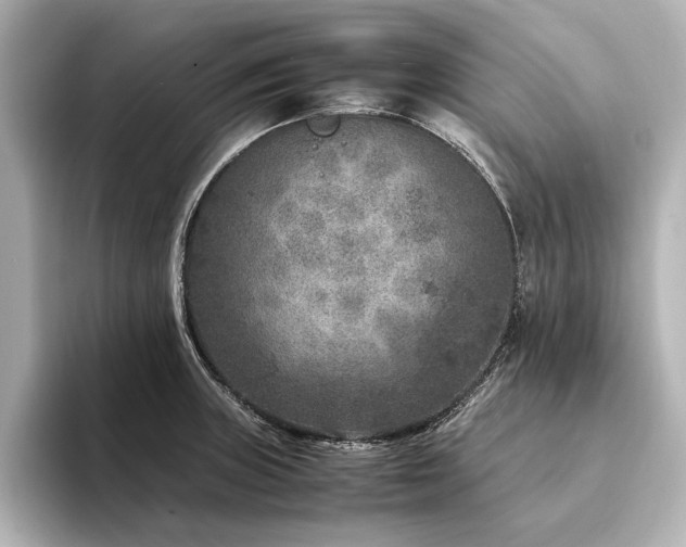 X0000094341235200711021445
