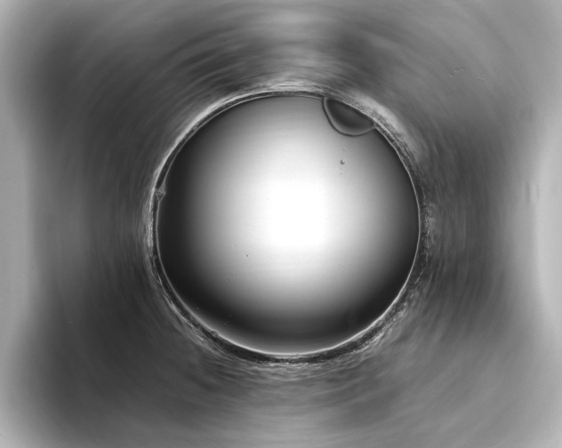 X0000094341236200711021445