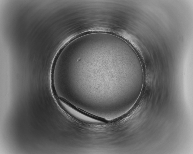 X0000094341237200711021445