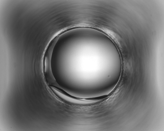 X0000094341238200711021445