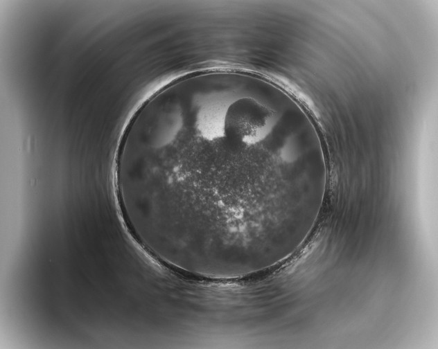 X0000094341239200711021445