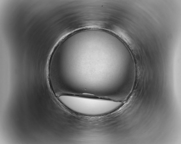 X0000094341240200711021445