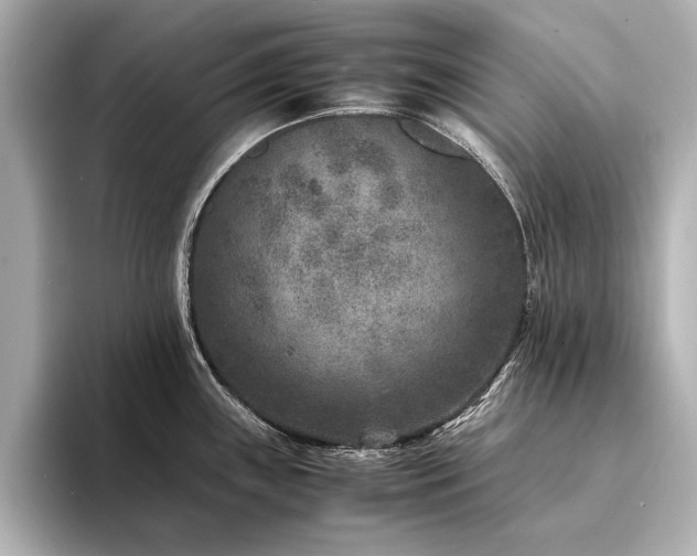 X0000094341243200711021445