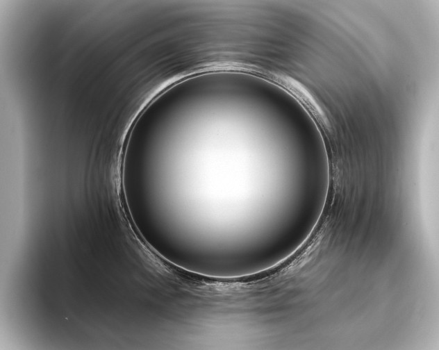 X0000094341244200711021445