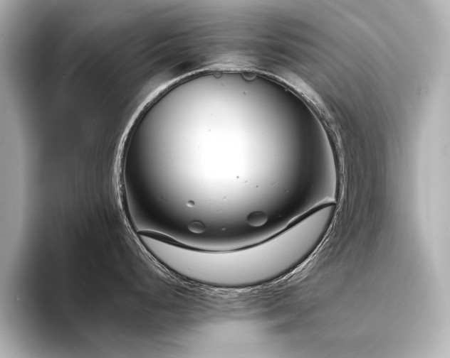 X0000094341248200711021445