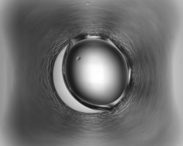 X0000094341249200711021444