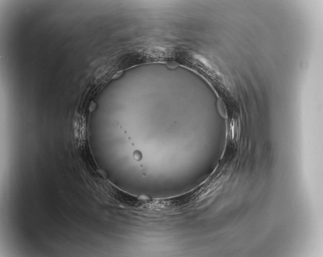 X0000094341251200711021444