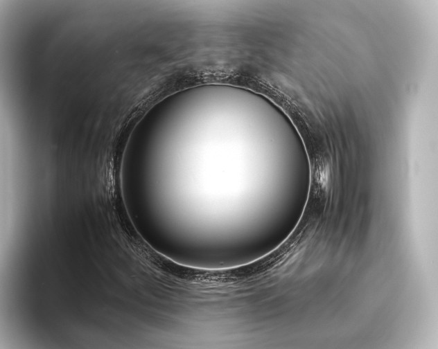 X0000094341252200711021444