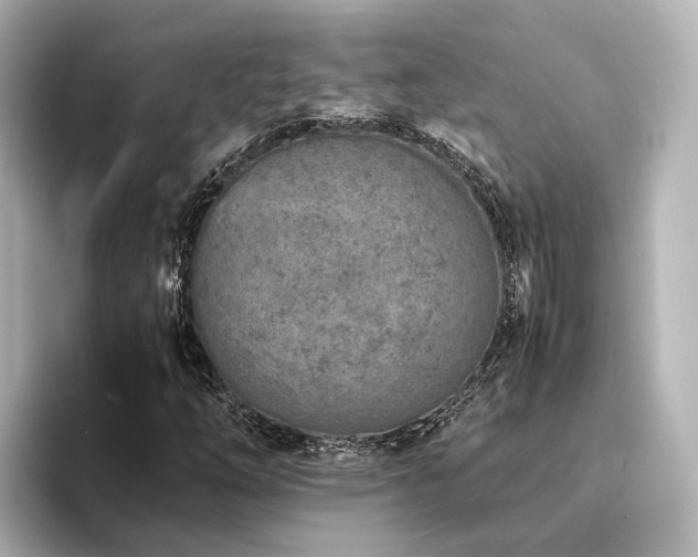 X0000094341254200711021444