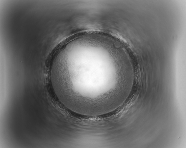 X0000094341255200711021444
