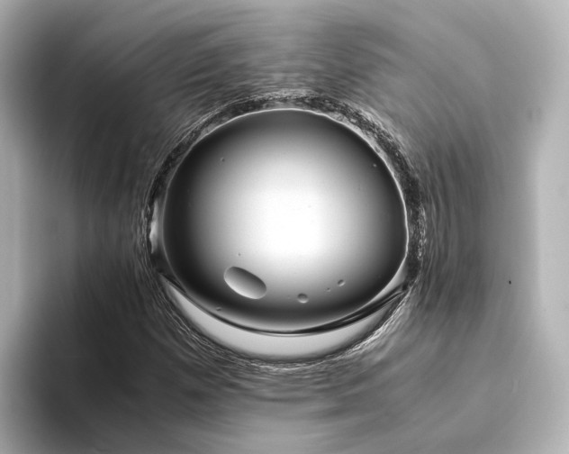 X0000094341257200711021444
