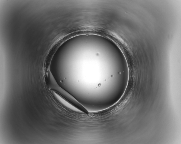 X0000094341259200711021444