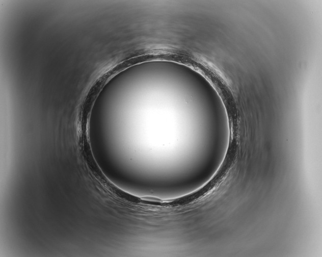 X0000094341261200711021444