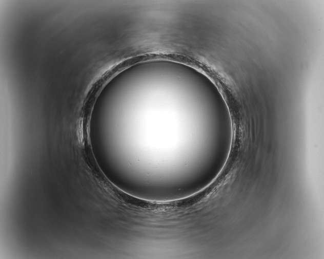X0000094341262200711021444