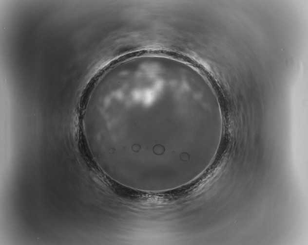 X0000094341263200711021444