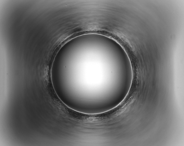X0000094341265200711021444
