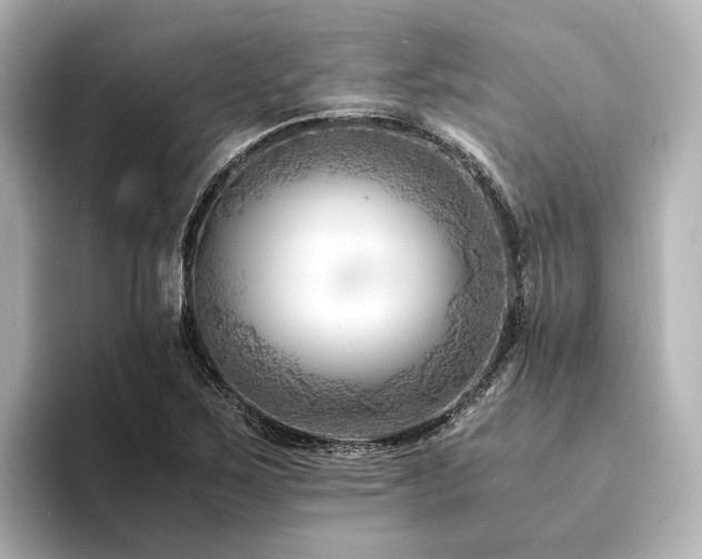 X0000094341267200711021444