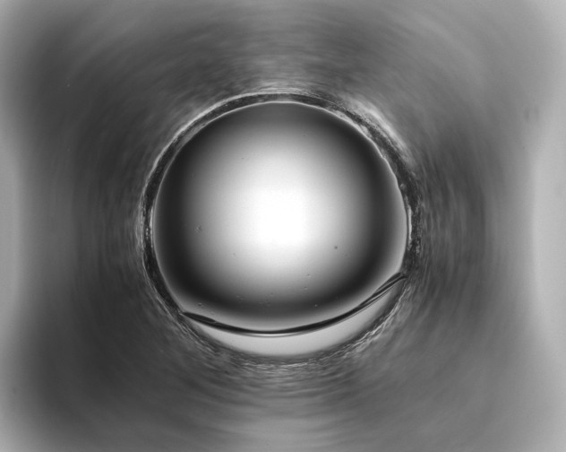 X0000094341268200711021444