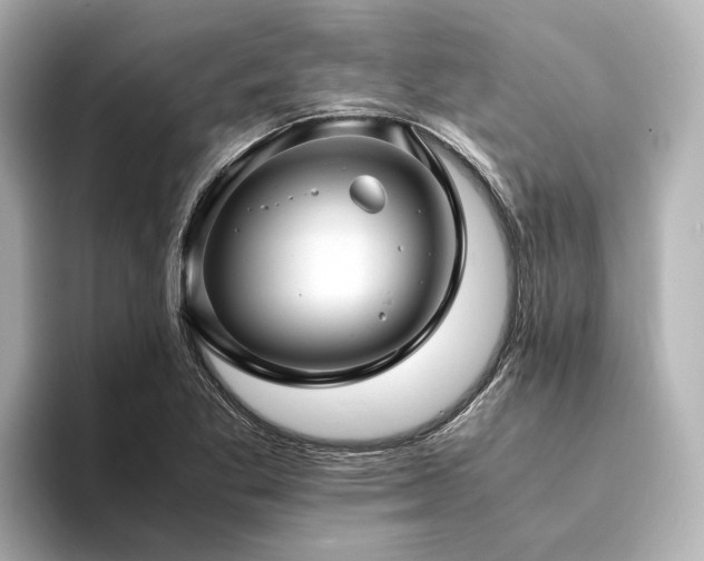 X0000094341269200711021444
