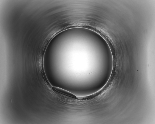 X0000094341273200711021444