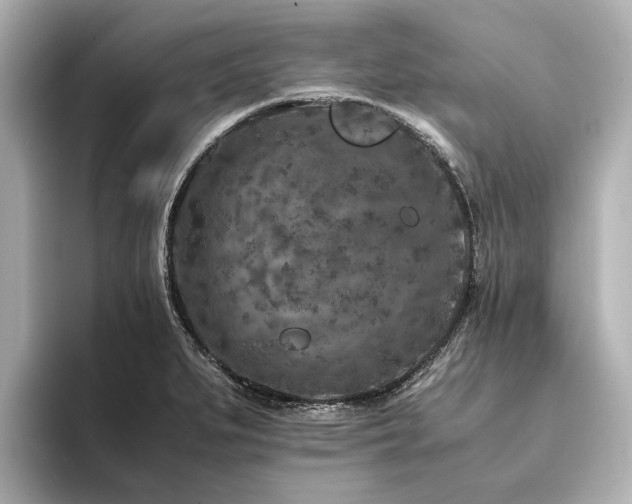 X0000094341279200711021444
