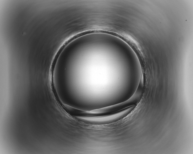 X0000094341280200711021444