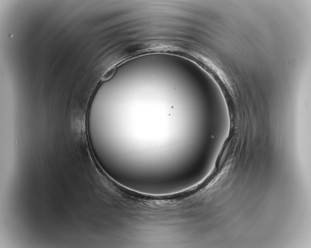 X0000094341281200711021444