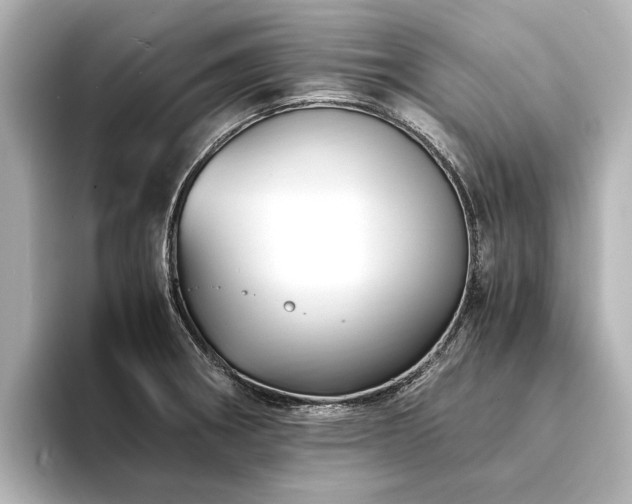 X0000094341282200711021444