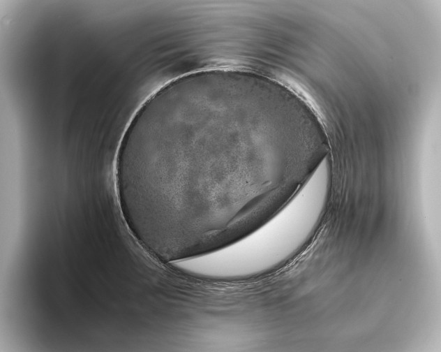 X0000094341283200711021444