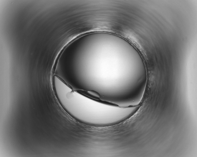X0000094341284200711021444