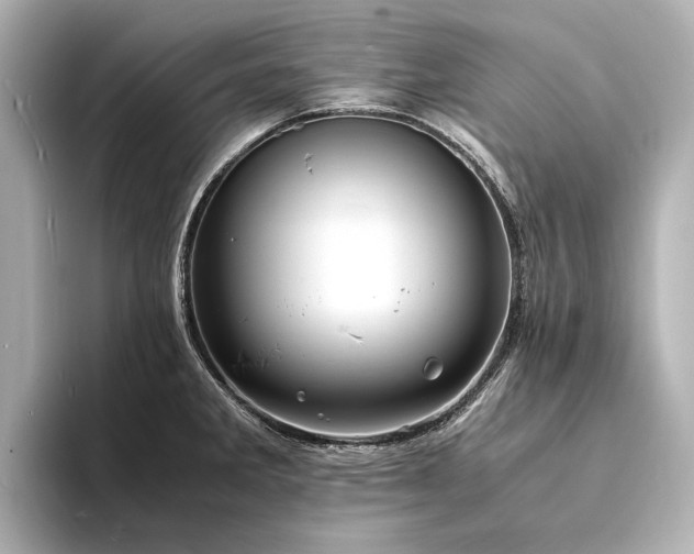 X0000094341285200711021444