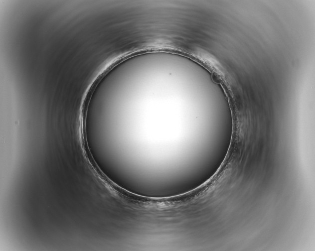 X0000094341286200711021444
