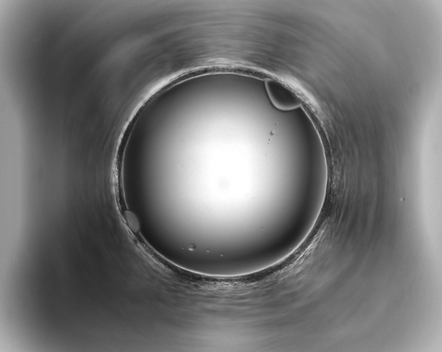 X0000094341287200711021444
