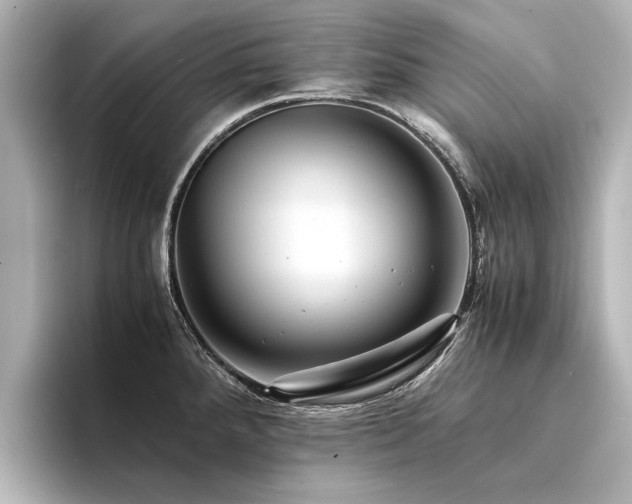 X0000094341288200711021444