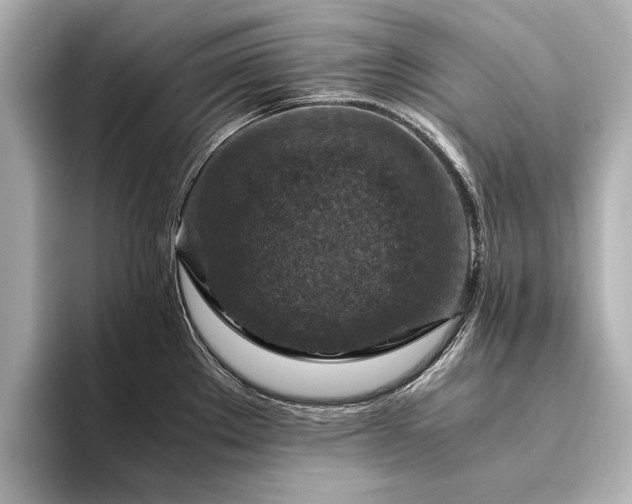 X0000094341289200711021444