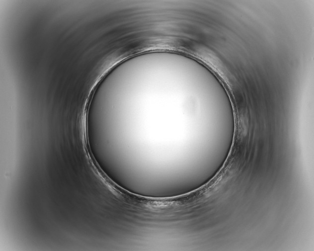 X0000094341290200711021444