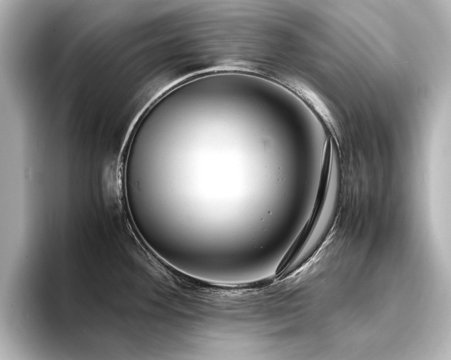 X0000094341292200711021444