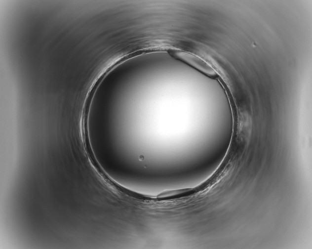 X0000094341293200711021444