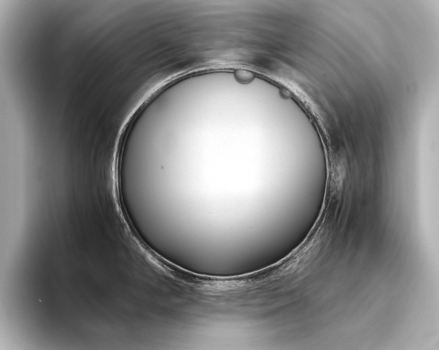 X0000094341294200711021444