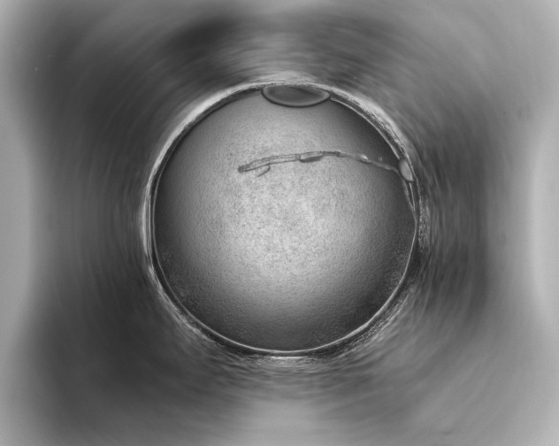 X0000094341295200711021444