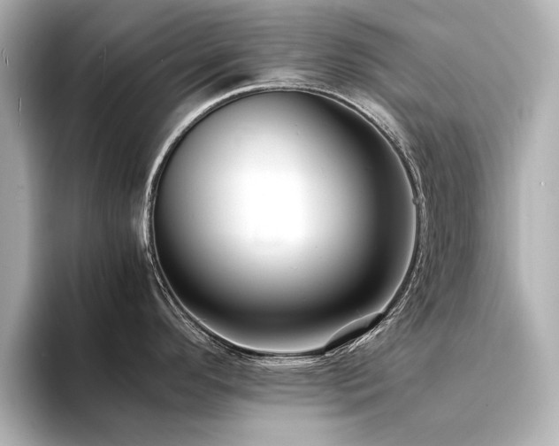 X0000094341296200711021444