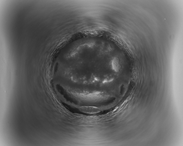 X0000094341297200711021443