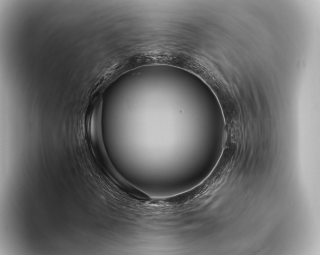 X0000094341298200711021443