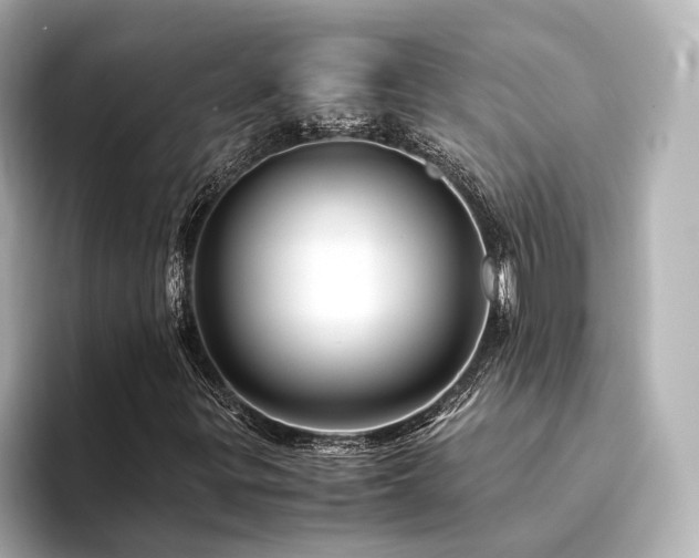 X0000094341299200711021443