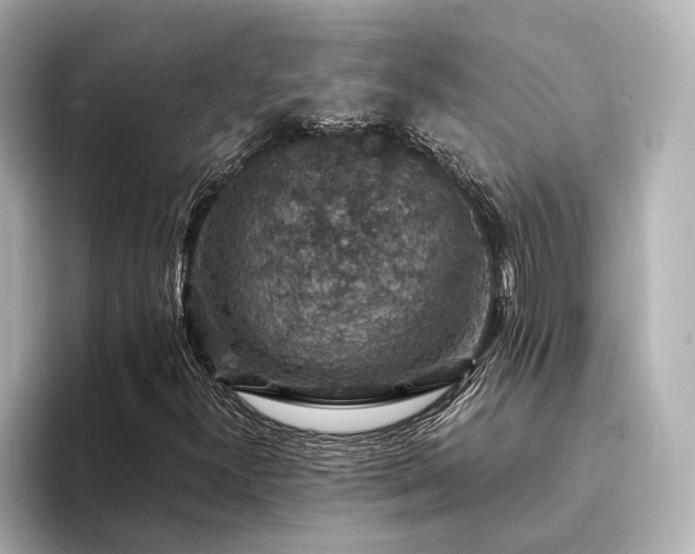 X0000094341300200711021443