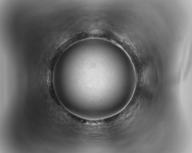 X0000094341301200711021443