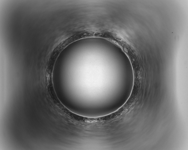 X0000094341302200711021443