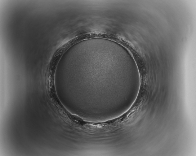 X0000094341303200711021443