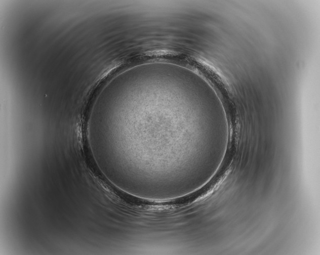 X0000094341305200711021443